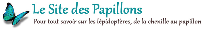 Le Site des Papillons Logo